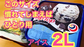 このサイズのアイスクリームに慣れたら色んな意味で大変だけど紹介したいやつinNZ