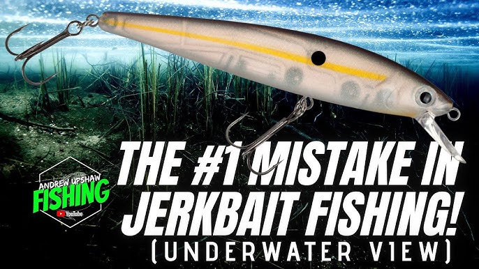 How and When Jerkbaits Outperform Swimbaits 