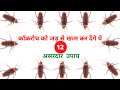 12 असरदार कॉकरोच भागने का उपाय | कॉकरोच मारने की दवा | Cockroach Bhagane Ke Upay | Kakroch Marne