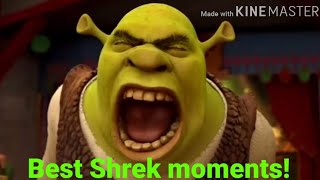 Best Shrek Moments