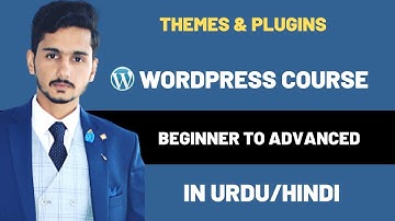 Themes and Plugin difference in Urdu/Hindi