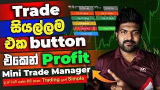 Boost Your Profits Instantly. TP/SL all Trades close only 1 Click.Mini Trader Manager | XM Trading