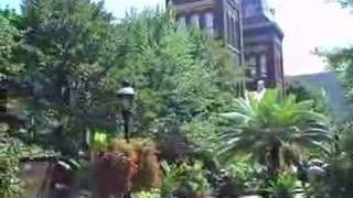 Dc By Foot: Begonia Bonfire Hanging Basket