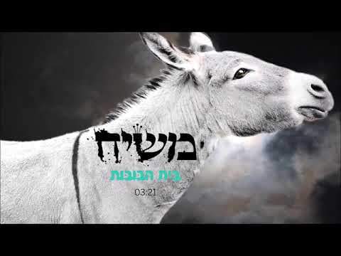 משיח בית הבובות