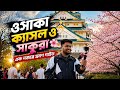 Osaka Castle Sakura Paradise 🌸 moaz ment Japan Vlog