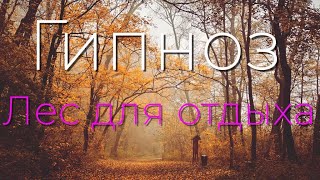 Гипноз: Лес для отдыха 4K 2022