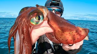 GIANT SQUID Catch 'n' Cook (Kayak Fishing Australia)