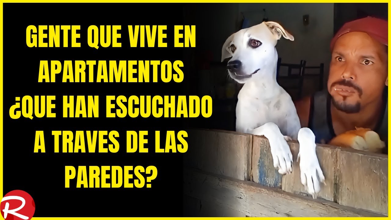 gente que vive en apartamentos ¿que secretos han escuchado a través de las paredes?