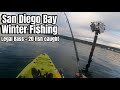 Not So Tough Winter San Diego Bay Fishing
