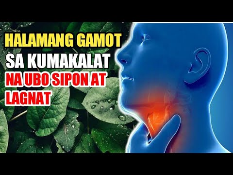 Video: Mga Kasamang Halaman Para sa Juniper - Mga Halamang Lumalagong Mahusay Kasama ng Juniper