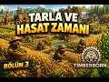 ARTIK TARLAMIZ VAR - HASAT ZAMANI !   - TIMBERBORN BÖLÜM 3