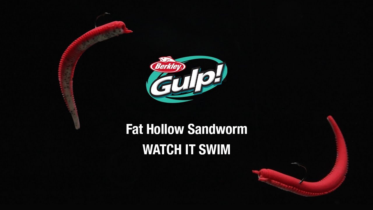 Berkley Gulp! Fat Hollow Sandworm | Watch It Swim