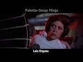 Capture de la vidéo Palette-Swap Ninja - "Leia Organa" (Star Wars/Beatles Parody)