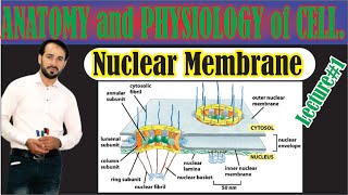 Nuclear Membrane | Structure of Nuclear Membrane | Made Easy | lecture-1 | Top Lesson4u