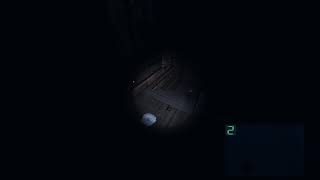 Celebrity Perfect Timing (Phasmo) Profile