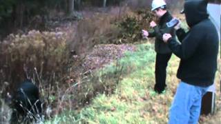 Itchiros Television Massacre Agentofdoubt Perspective