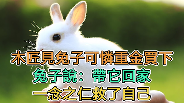 民间故事：木匠见兔子可怜重金买下，兔子说：带它回家，一念之仁救了自己｜甘做王八｜头条故事汇 - 天天要闻