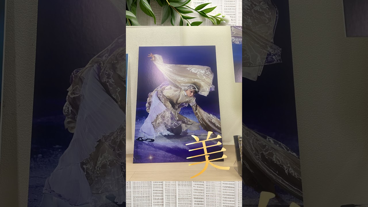 写真集「羽」パネル展＠紀伊國屋書店梅田本店　行ってきたよ！ #shotrs #hanyuyuzuru