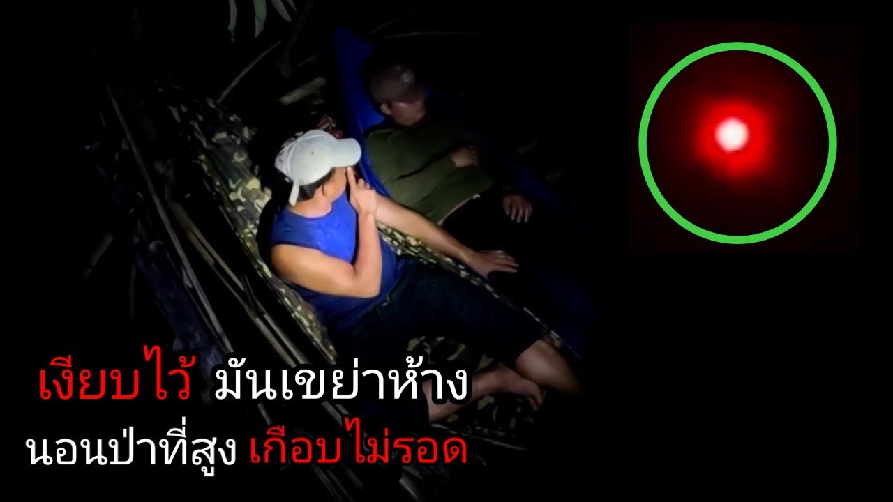 ห้างที่อยู่บนต้นไม้โดนเขาย่ พอส่องลงไปถึงกับพูดไม่ออก สิ่งที่เจอ ผีป่า [ คนแบกเป้ ]