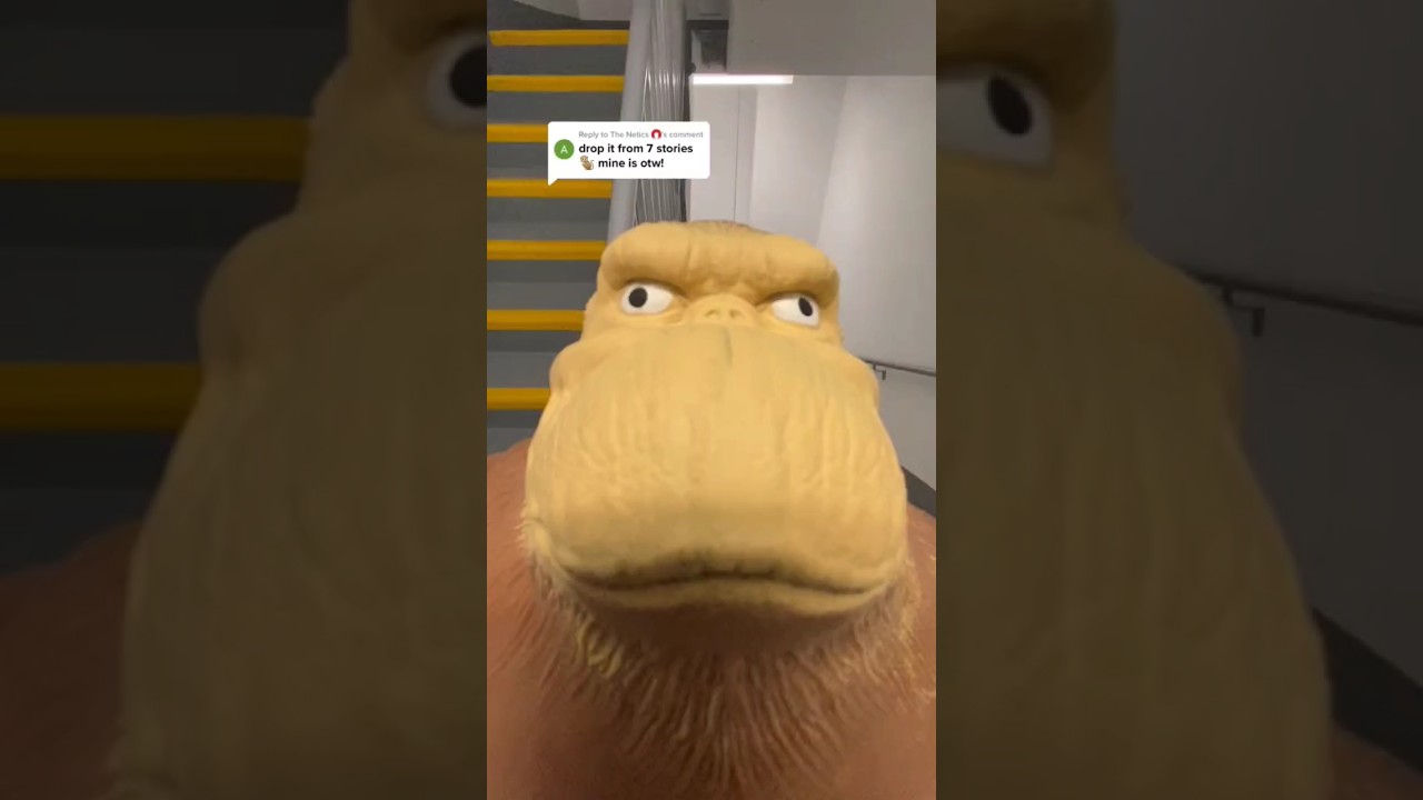 Monkey splat very funny 🤣 reaction 🤣🤣 