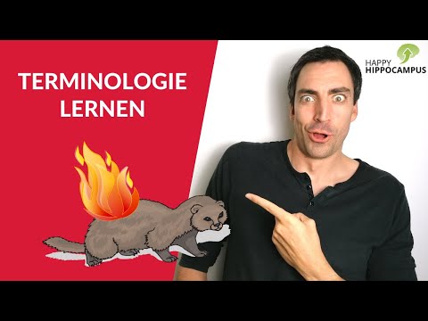 Video: Was ist ein Grinsen? Terminologie und Beispiele