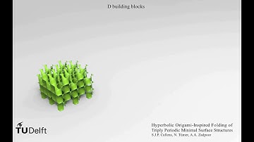 The building blocks of a folded D minimal surface, TU Delft, Prof. Amir A. Zadpoor