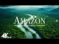 FLYING OVER AMAZON (4K UHD) - Relaxing Music Along With Beautiful Nature Videos - 4K Video HD