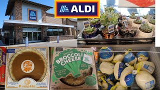 ALDI GROCERY STORE/ BROWSE WITH ME