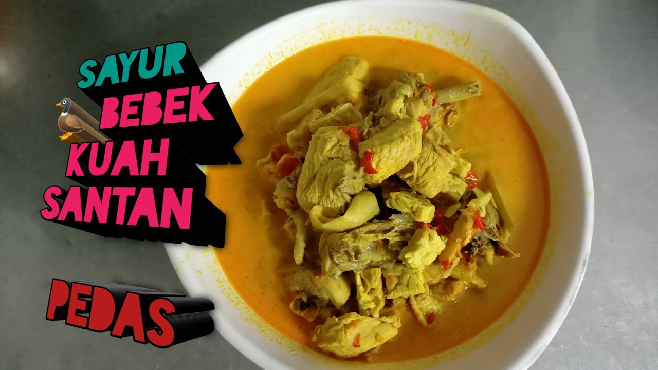 Sayur bebek kuah santan pedas 