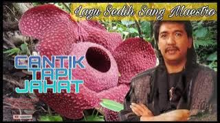 Cantik Tapi Jahat - Imam S Arifin.