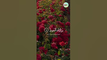 ايات من سورة الممتحنة - القارئ سعد الغامدي - تلاوة خاشعة