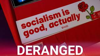 Democratic Socialists' co-chair blasted for 'insane' agendas as friction with Democrats spirals