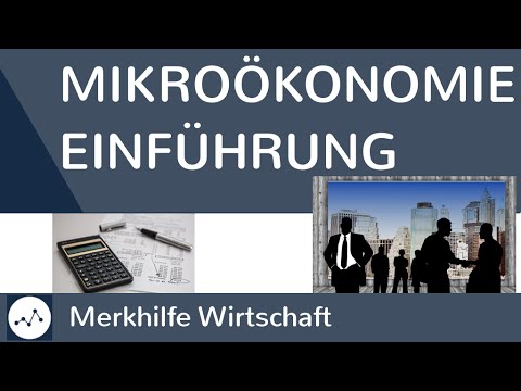 Video: Was ist eine mikroökonomische Analyse?