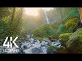 Relaxing Sound of a Mighty Waterfall with Birds Chirping around - White Noise for Sleep 8 HOURS