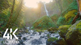 Relaxing Sound of a Mighty Waterfall with Birds Chirping around - White Noise for Sleep 8 HOURS