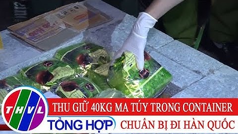 Thu giữ 40kg ma túy trong container chuẩn bị đi Hàn Quốc
