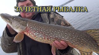 видео: Вот это рыбалка!!! Щука на кружки в озере Стерж!! картинка: Вот это рыбалка!!! Щука на кружки в озере Стерж!!