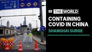 Massive testing effort underway to contain coronavirus outbreak in Shanghai | The World
