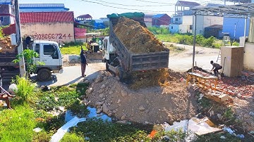 Start New Project Delete Flooded landfill !! Bulldozer D20p Push Soil to water ,Truck 5Ton Unloading