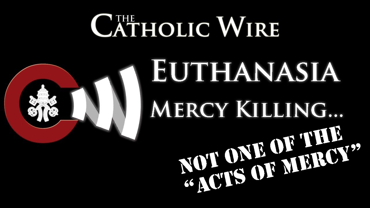 What every Catholic Should Know about: Euthanasia