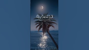 ﴿الَّذِينَ آمَنُوا وَتَطْمَئِنُّ قُلُوبُهُم بِذِكْرِ اللَّهِ ۗ ﴾.||سورة الرعد|| #مشاري_العفاسي