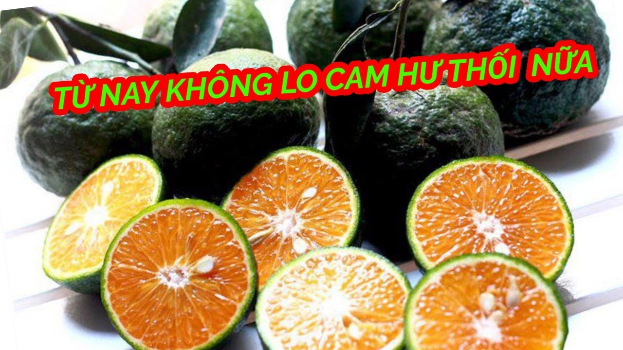 Màu Cam đau Khổ Bị Hư Hỏng Kết Cấu Nền Bẩn Hình Nền Cho Tải Về Miễn Phí   Pngtree