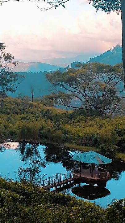 #travel #natrue #nature #naturetourism #srilanka #mountains #waterfall #viralvideo #viralshort