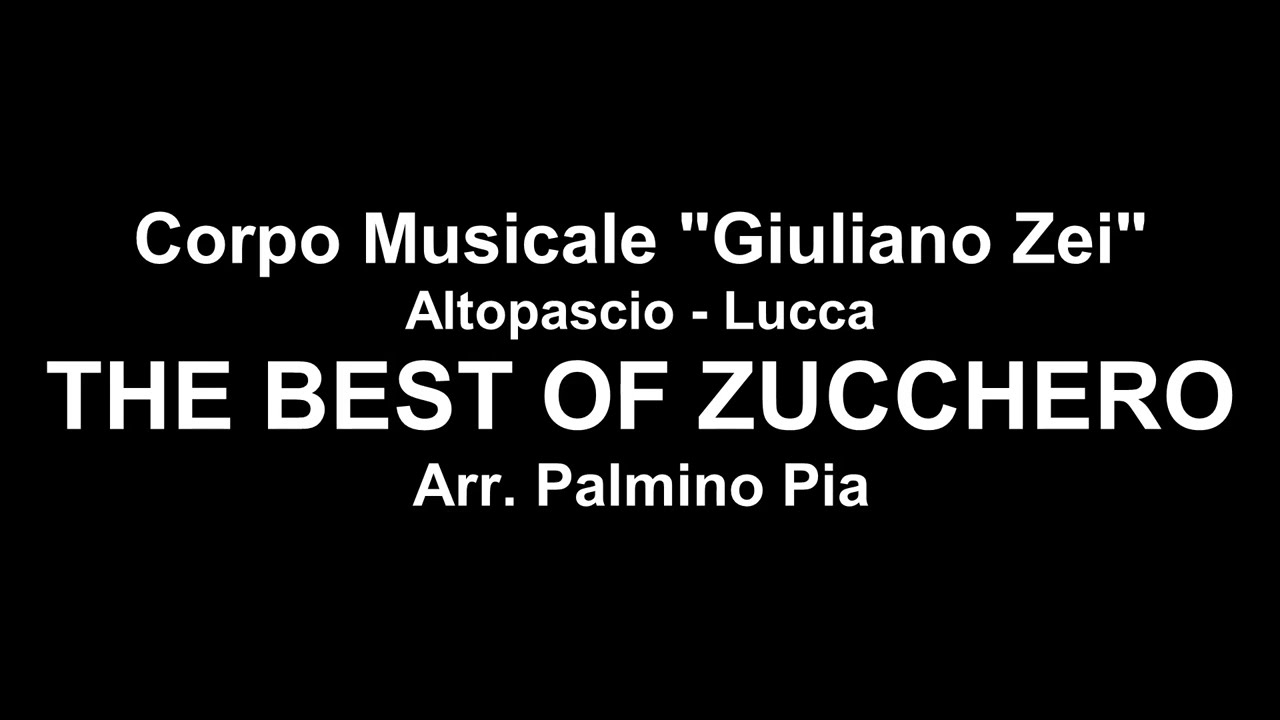 The best o f Zucchero - Palmino Pia