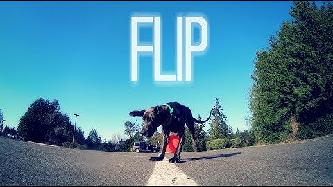 FLIP
