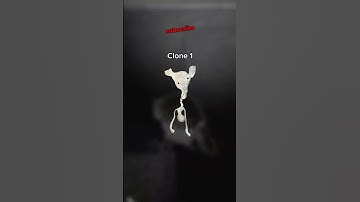 Every Bear Alpha Cheese Factory Clone! #bearalpha