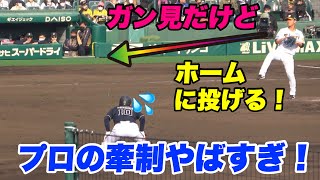 【これ盗塁できるん？プロの牽制って絶妙に上手い！投手 伊藤将司】