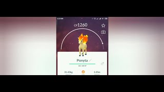 PONYTA EVOLVES INTO RAPIDASH IN POKEMON GO ! Trainer Ari