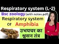 Respiratory system (L-2),Respiratory system of amphibia,bsc 2nd year zoology knowledge adda,lion