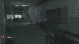 COD4 Golden AK-47 and M40A3 Montage